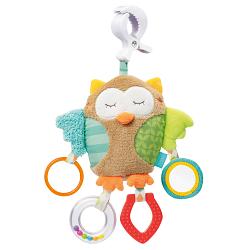 Picture Activity owl